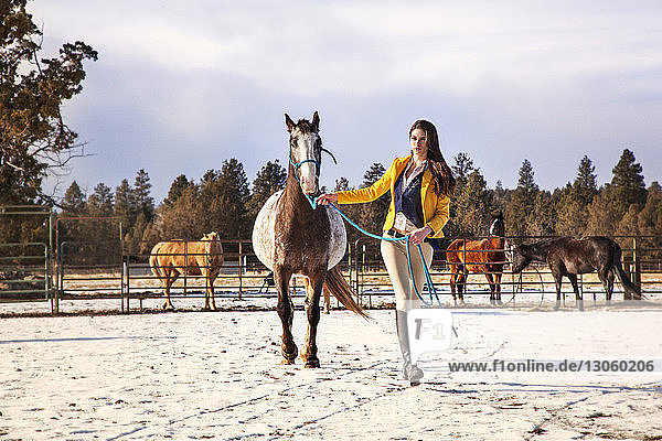 Zuversichtliche Frau geht mit Pferd auf schneebedecktem Feld