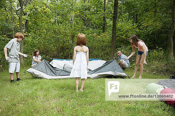Mädchen betrachtet Familie beim Zeltbau auf einem Feld im Wald