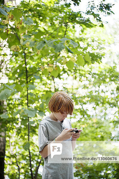 Junge benutzt Telefon  während er im Wald an Bäumen steht