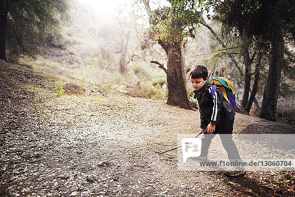 Boy with stick standing on field in forest
