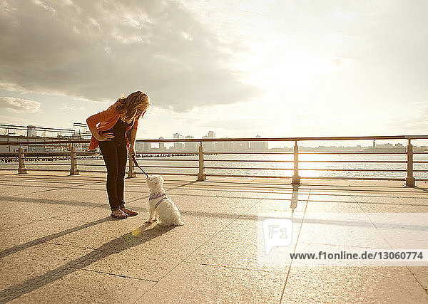 Frau sieht Hund an  während sie an einem sonnigen Tag am Geländer gegen den Himmel steht