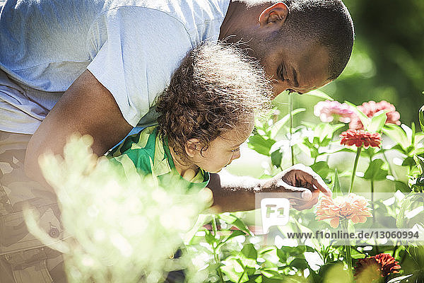 Mann zeigt seinem Sohn Blumen im Garten