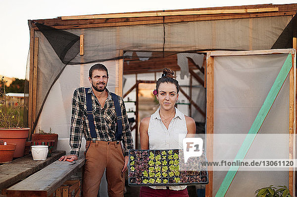 Portrait of woman showing seedling tray with man standing against greenhouse