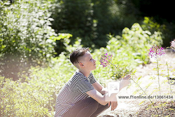 Seitenansicht eines Teenagers  der Blumen riecht  während er auf dem Feld kauert