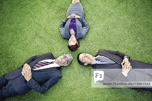 Overhead view of business people lying on grassy field