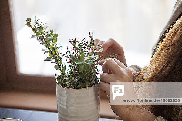 Midsection of woman picking leaves of herb plant at home