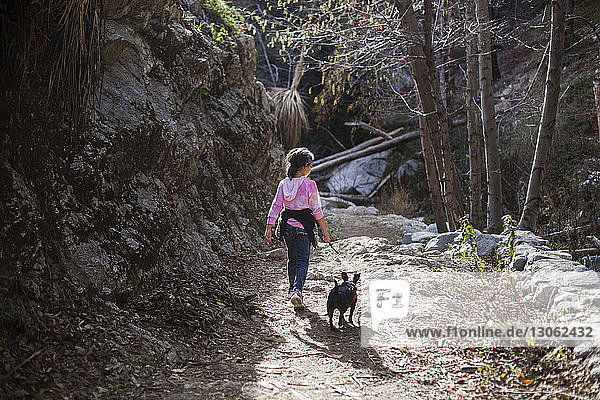 Rückansicht eines Mädchens beim Spaziergang mit Hund auf einem Waldweg