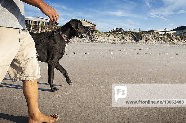 Side view of man walking with Great Dane on shore against sky
