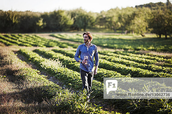 Mann hält Getränk in der Hand  während er auf dem Feld auf dem Bauernhof geht