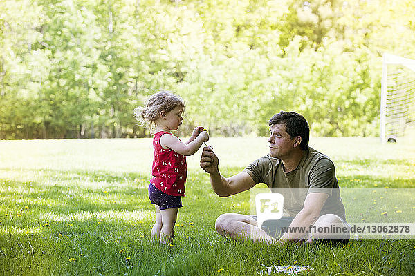 Vater schenkt der Tochter eine Blume  während er auf einem Grasfeld im Park sitzt