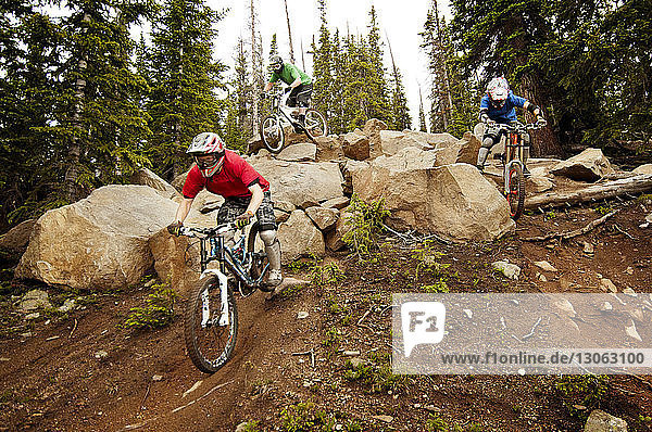 Athletes cycling on rocks in forest