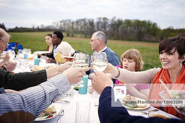 Family and friends toasting wineglasses at picnic table