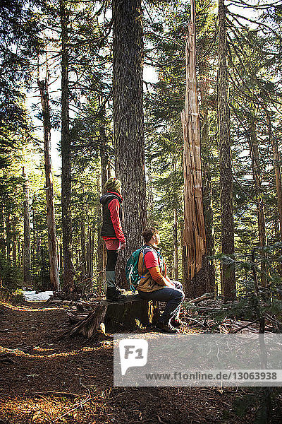 Side view of couple hiking in forest