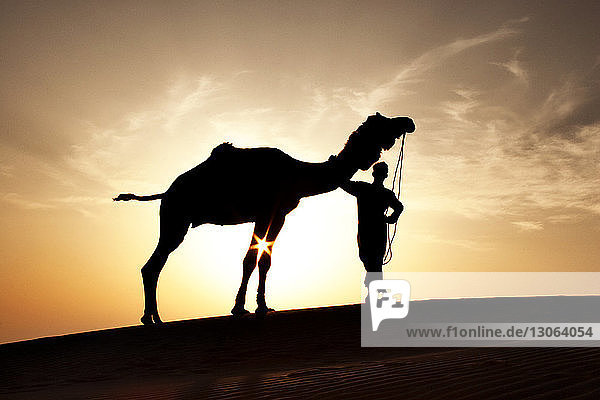 Silhouette eines Mannes  der bei Sonnenuntergang mit einem Kamel am Himmel steht