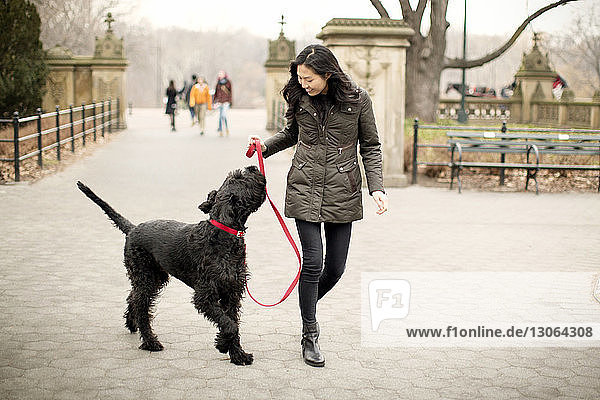 Glückliche Frau betrachtet Hund beim Spaziergang auf dem Fußweg