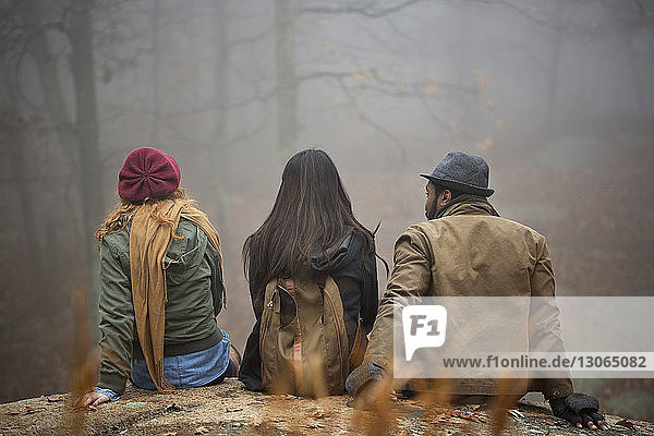 Rückansicht von Freunden  die auf einem Felsen im Wald sitzen