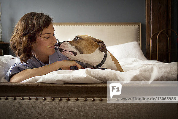 Frau und Hund zu Hause im Bett