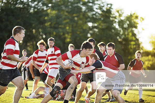 Rugbymannschaft auf dem Spielfeld