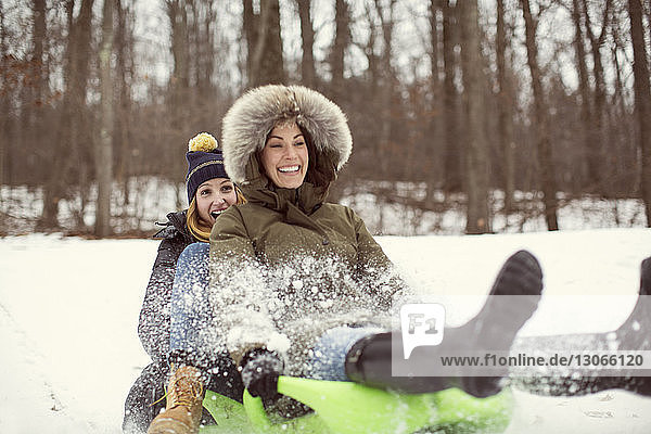 Cheerful friends riding sled in forest during winter