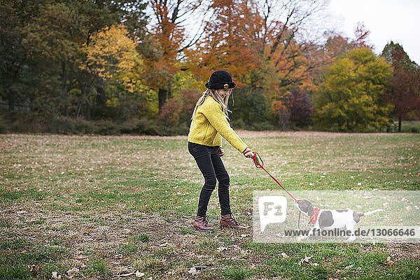 Mädchen spielt im Herbst Hund im Park