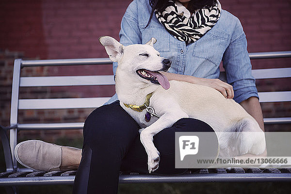 Niedriger Teil einer Frau mit Hund  die auf einer Bank an der Wand sitzt