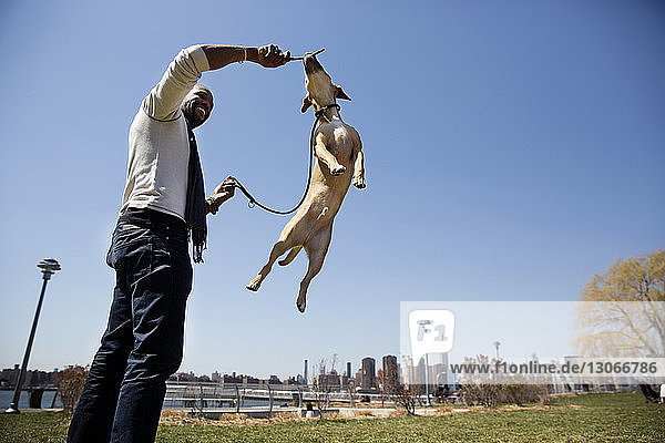 Low angle view of man playing with dog while standing on field against clear sky