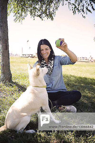 Glückliche Frau zeigt spielenden Hunden im Park den Ball gegen den Himmel