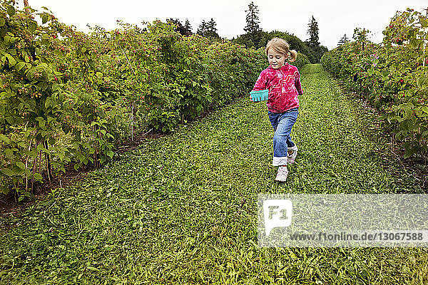 Mädchen mit Obstkorb auf dem Feld im Bauernhof