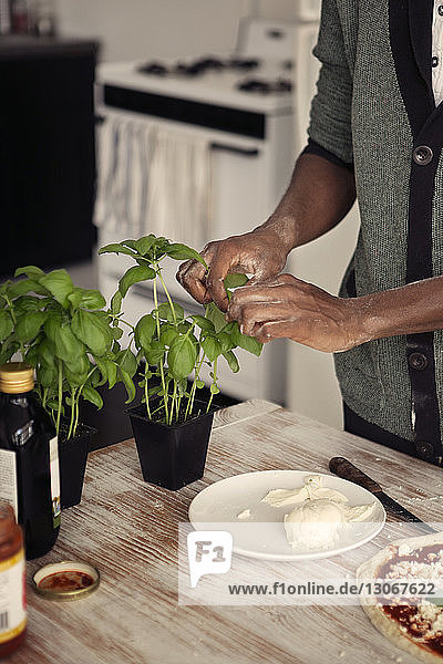 Man plucking basil leaves for pizza at kitchen table