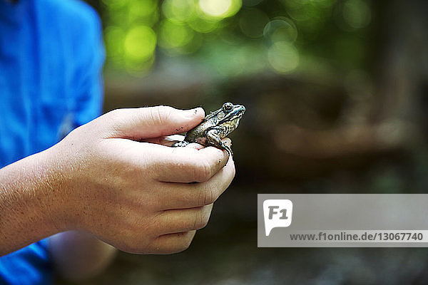 Cropped image of boy holding frog in forest