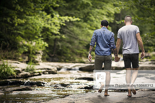 Rear view of homosexual couple holding hands while walking in forest