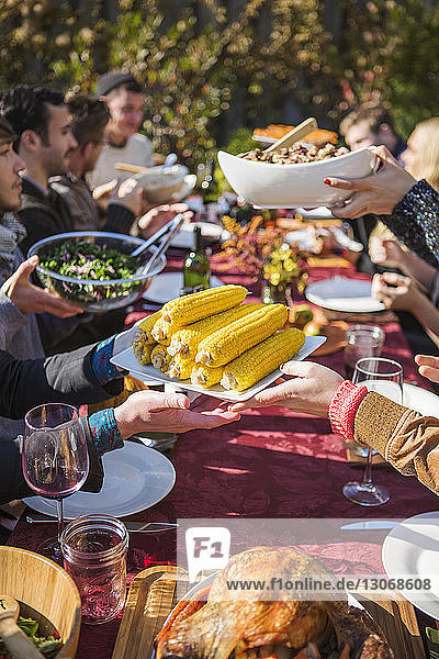 Cropped image of friends passing food at outdoor table during garden party