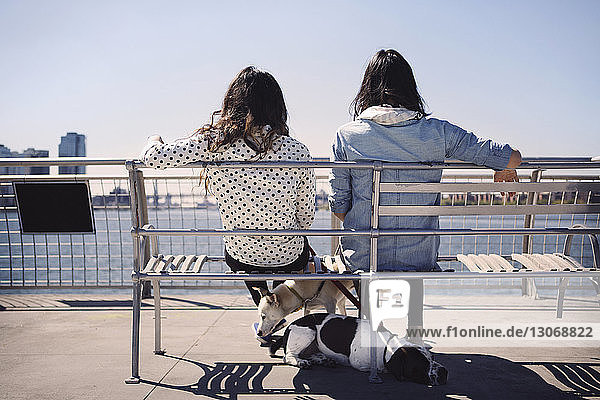 Rückansicht von Frauen mit Hunden  die bei klarem Himmel auf der Bank über der Brücke sitzen