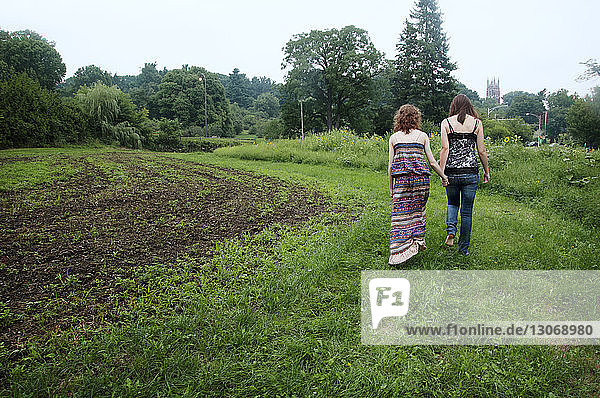 Rear view of friends walking on grassy field