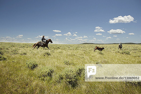 Männer reiten zu Pferd auf Grasfeld gegen den Himmel