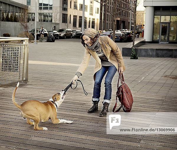 Hund an Frau zieht Haustierleine auf Fußweg in der Stadt
