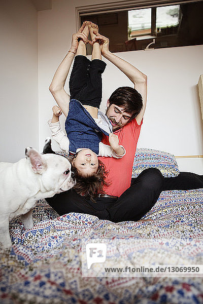 Vater trägt Tochter kopfüber  während er mit Hund auf dem Bett sitzt