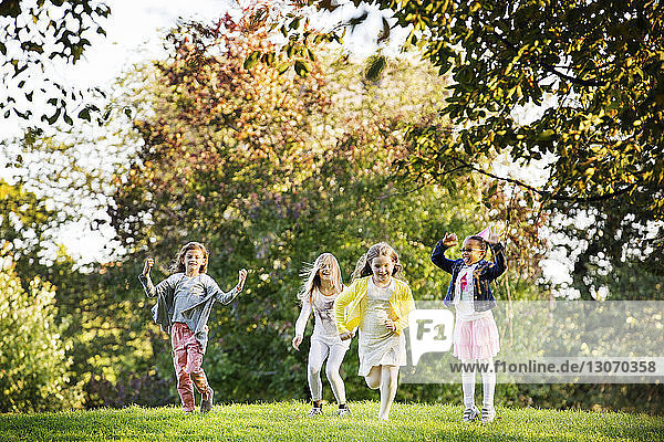 Fröhliche Mädchen spielen auf dem Rasen im Park