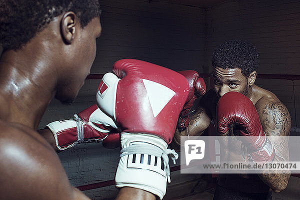 Männliche Boxer üben den Kampf im Boxring