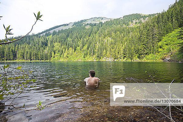 Rückansicht eines Mannes  der im See am Wald sitzt