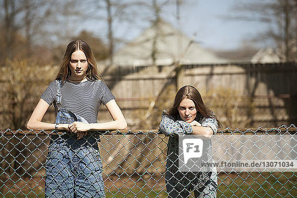 Portrait of friends leaning on chainlink fence in park
