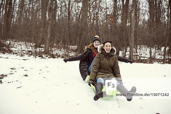 Friends enjoying sled ride in forest