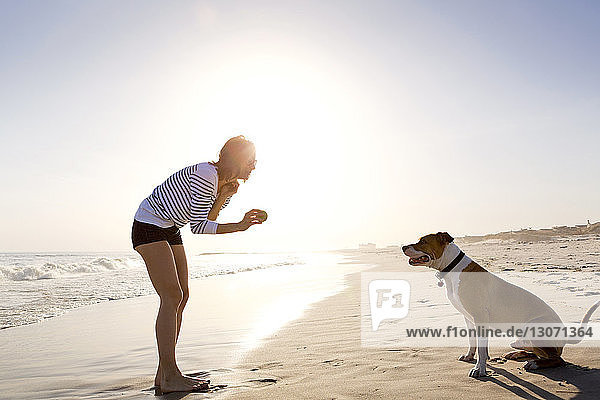 Side view of woman playing with dog while standing on shore at beach