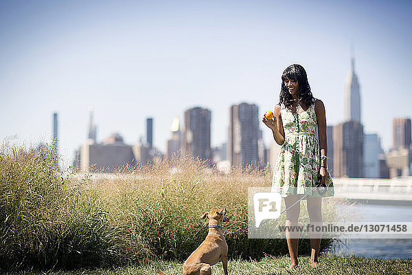 Frau hält Ball beim Spielen mit Hund auf dem Feld in der Stadt