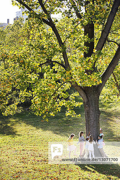 Hochwinkelaufnahme von spielenden Kindern am Baum im Park