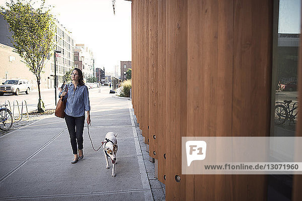 Nachdenkliche Frau geht mit Hund auf dem Bürgersteig an einer Holzmauer in der Stadt
