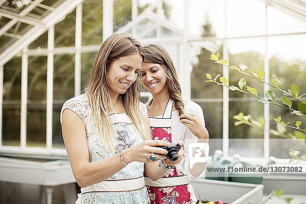 Lächelnde Frau mit Freundin fotografiert Gemüse in einem Container  während sie im Gewächshaus steht