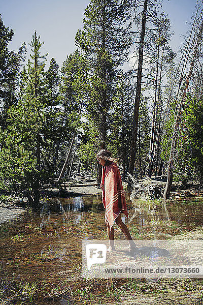 In eine Decke gehüllte Frau geht auf nassem Feld gegen Bäume im Yellowstone-Nationalpark