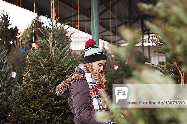 Side view of woman looking at Christmas trees