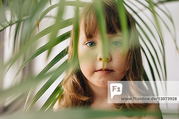 Porträt eines Mädchens inmitten von Blättern zu Hause